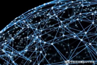 郑州区块链技术驱动下的数字货币钱包开发与网络技术创新