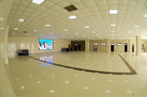 首批济宁市网络素养教育基地 济宁职业技术学院网络素养教育基地的技术开发实践