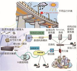 物联网赋能桥梁监测 实时“查体”技术的开发与应用