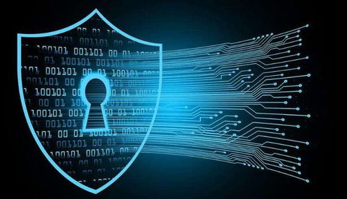 技术创新驱动品牌发展 金盾与“十四五”科技革命下的网络技术开发